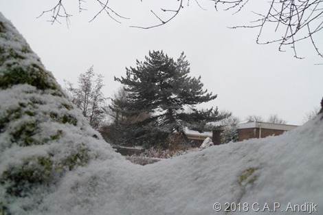 KNMI Code Geel - Morgenochtend van het westen uit (lichte) sneeuw