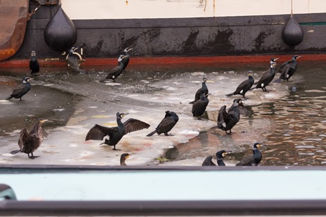 7 Servan Ott Fotografie - Natuurfotografie en Trouwfotografie-1992