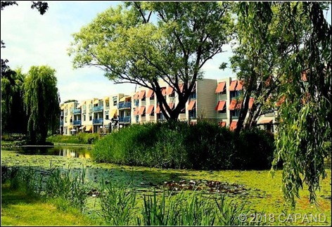 13620990_1033070853409294_2191763179022781656_n