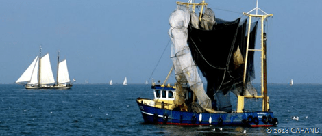 NVWA en politie nemen schietfuiken in beslag op IJsselmeer