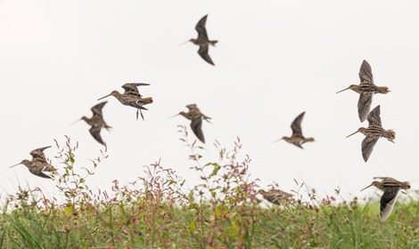 2 Servan Ott Fotografie -- Natuurfotografie en Trouwfotografie-2553