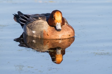 Servan Ott Fotografie -- Natuurfotografie en Trouwfotografie-0934