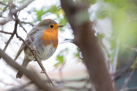 Servan Ott Fotografie -- Natuurfotografie en Trouwfotografie-1291