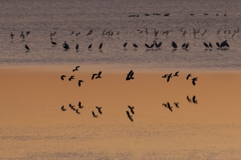 Servan Ott Fotografie - Natuurfotografie en Trouwfotografie-2271