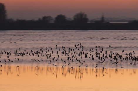 Servan Ott Fotografie - Natuurfotografie en Trouwfotografie-2436