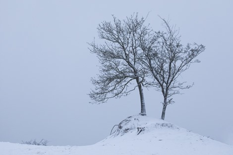 Servan Ott Fotografie - Natuurfotografie en Trouwfotografie-5618