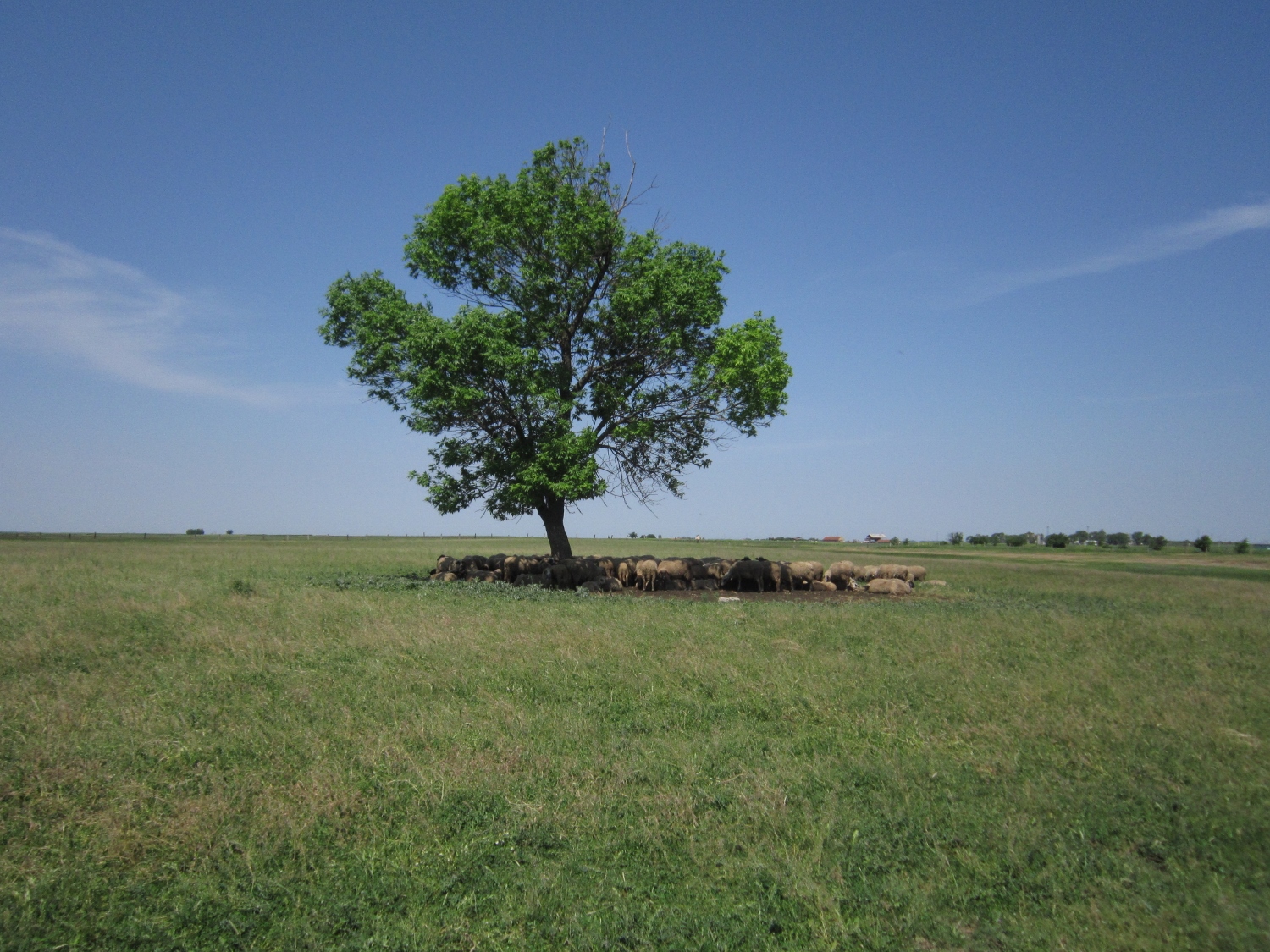 Lezingavond Natuurreis door Servië