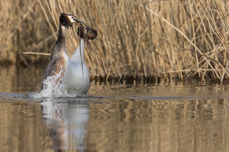 10 Servan Ott Fotografie -- Natuurfotografie en Trouwfotografie-9851