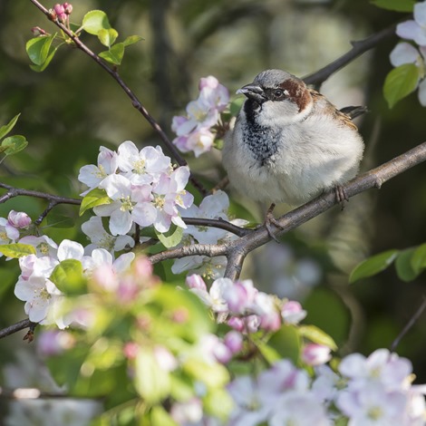 Servan Ott Fotografie -- Natuurfotografie en Trouwfotografie-9601