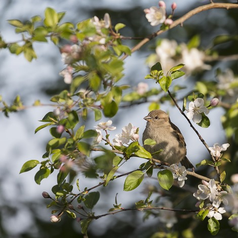 Servan Ott Fotografie -- Natuurfotografie en Trouwfotografie-9616