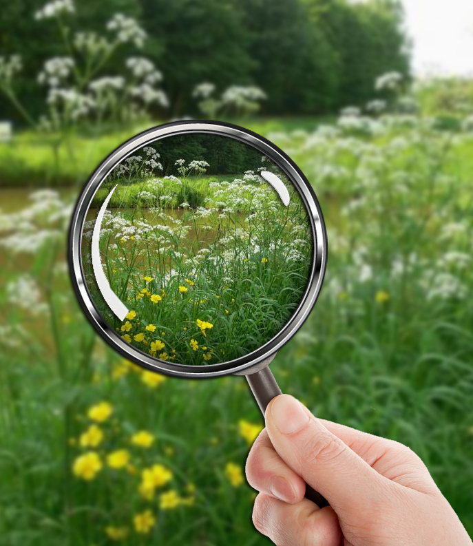 ‘Rollend’ de natuur in
