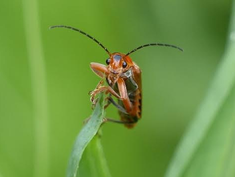 Bodemgeheimen in het Egboetje