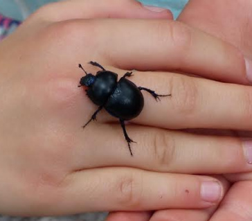 Bodemgeheimen in het Egboetje