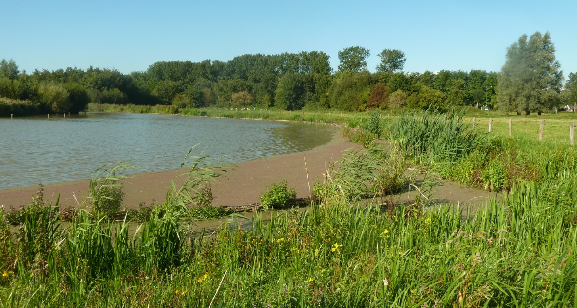 Egboetswater viert imkerijdag! | Op poldersafari door de Suyderbraeck