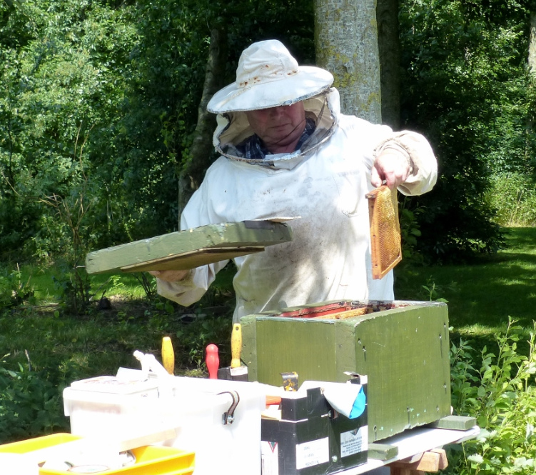Egboetswater viert imkerijdag! | Op poldersafari door de Suyderbraeck