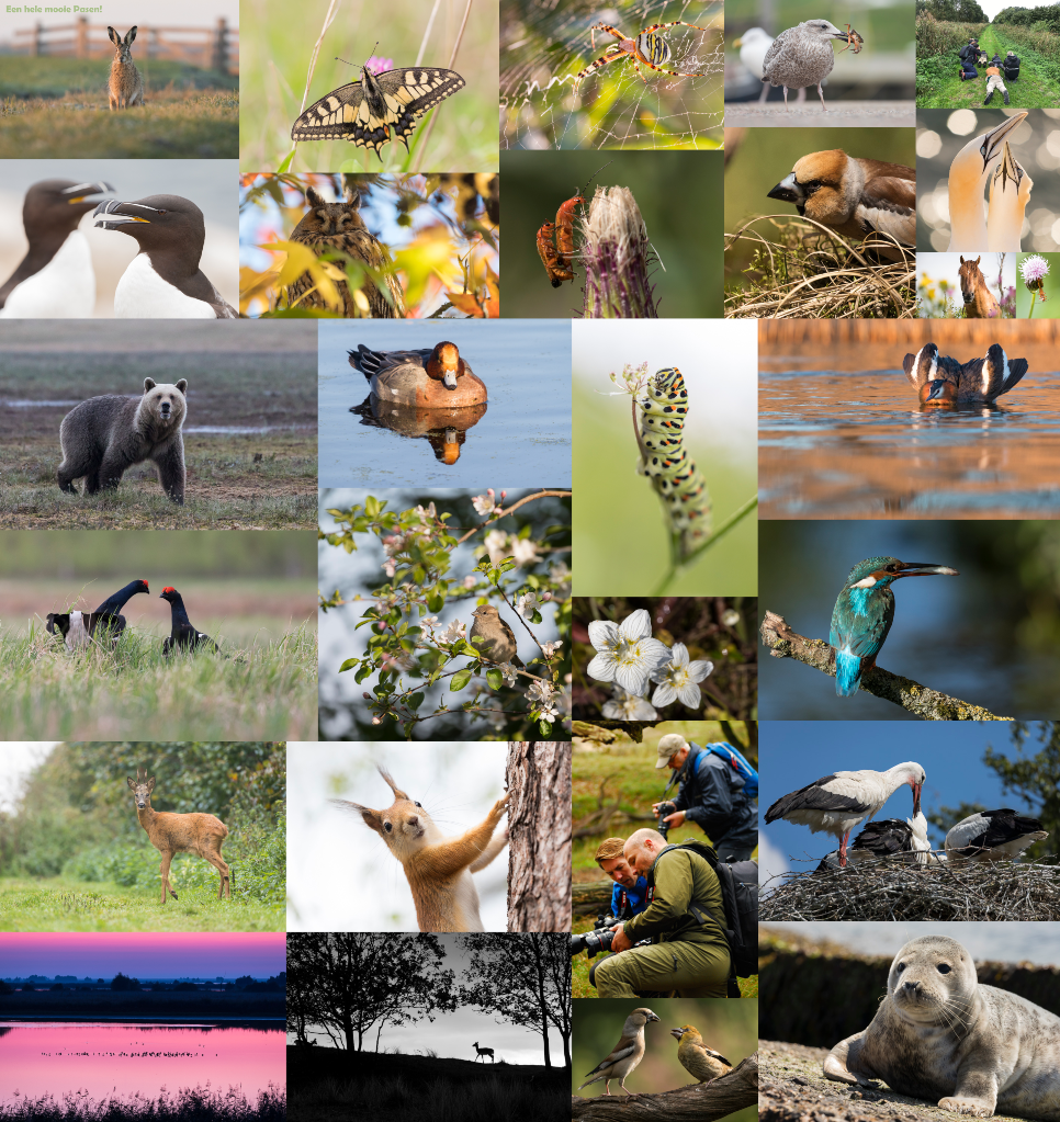 Collage natuurfoto's door Servan Ott Fotografie