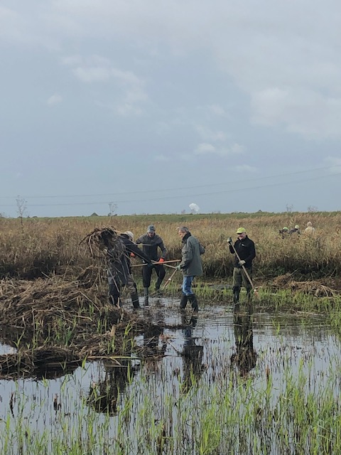 Extra geld voor groene vrijwilligers 