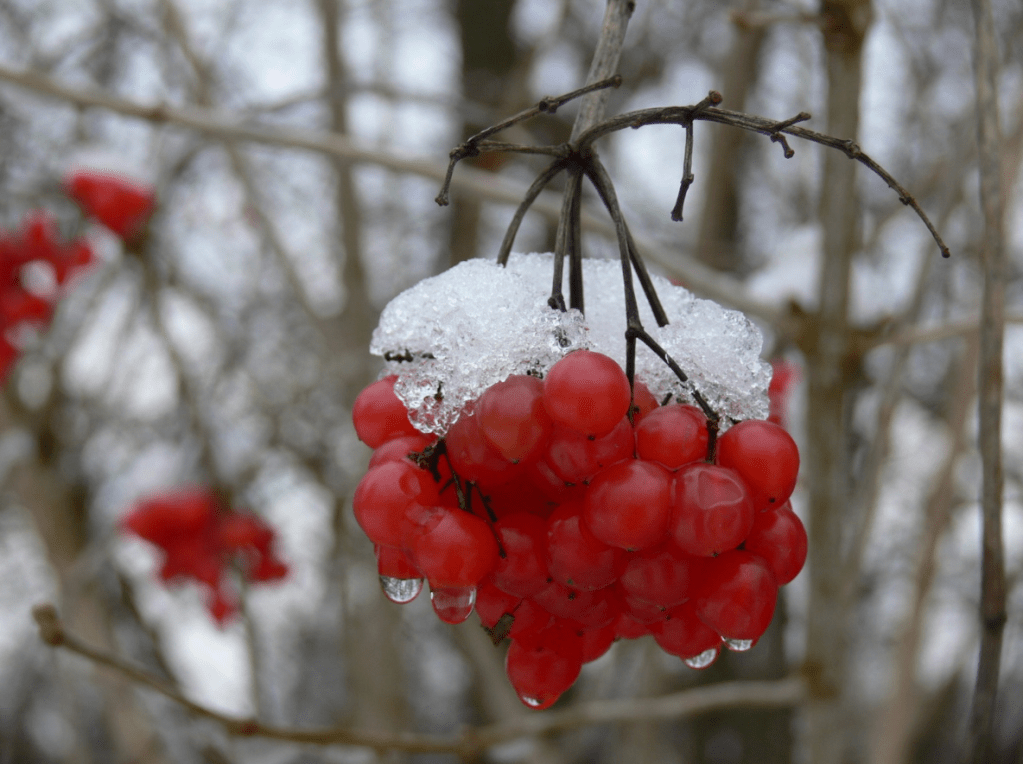 Doe-het-zelf kerstversiering maken