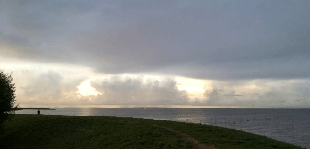 Bernice Notenboom van "Koppie Onder": "De Westfriese Omringdijk en het zicht op het IJsselmeer voor de eeuwigheid bewaren!"
