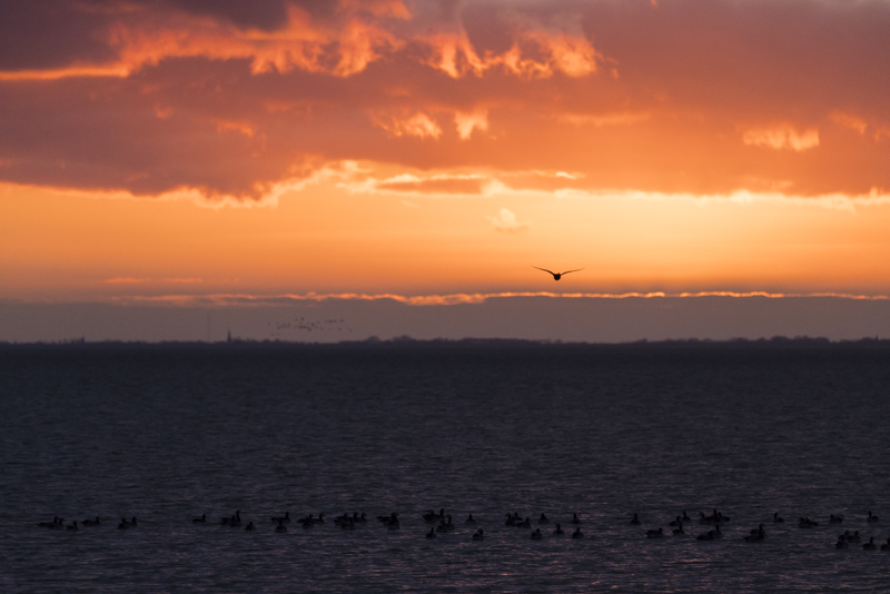 Servan Ott Fotografie: Bijzondere luchten op Schiermonnikoog