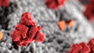 Gemeente Medemblik roept inwoners op zich aan de maatregelen te houden: "We zijn er nog niet vanaf!"
