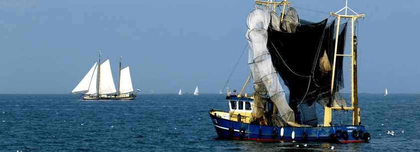 De EK 49 van de fa. J. Klaassen op het IJsselmeer voor de kust van Andijk - foto © G. van Keulen