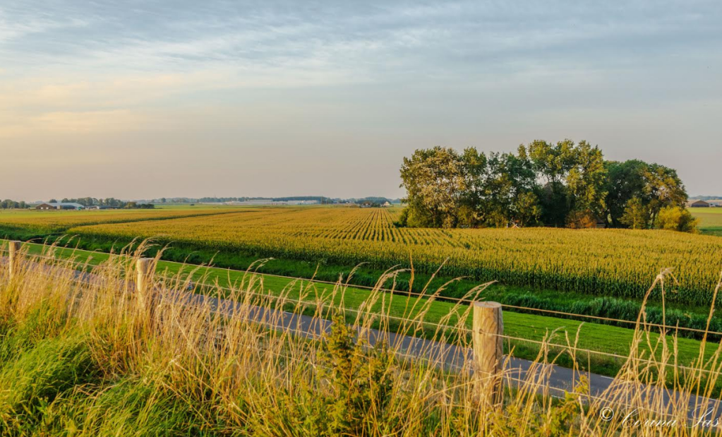 Uitzicht vanaf de Westfriese Omringdijk