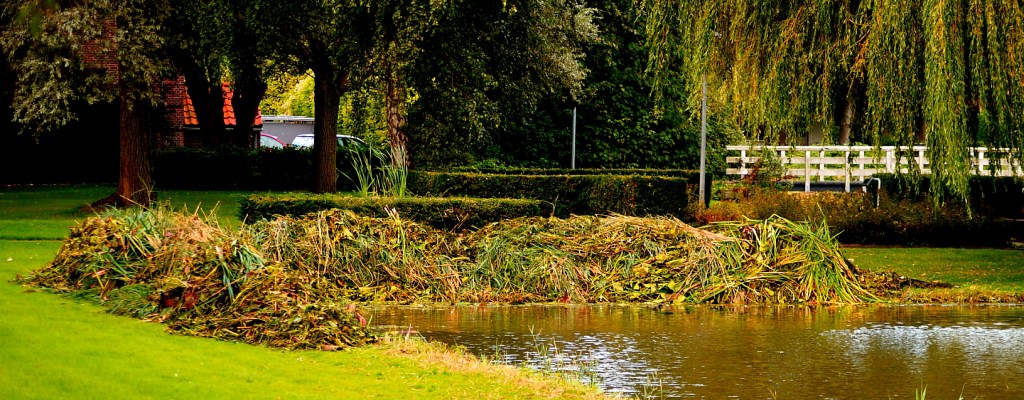 waterplanten die, eenmaal afgesneden, op de walkant worden gedeponeerd waar het kan inklinken en drogen voordat het uiteindelijk zijn weg vindt naar een composthoop.