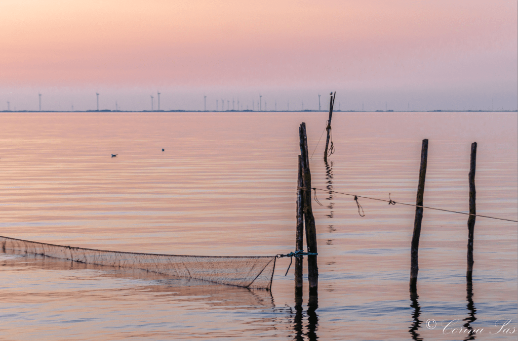 Corina Sas Fotografie: Het is gewoon achter de dijk