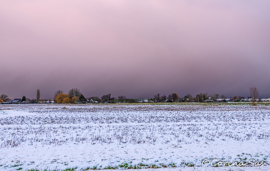 Corina Sas Fotografie: Wat eraan vooraf ging… | Andijk | APB